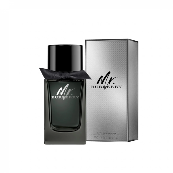 BURBERRY MR. BURBERRY (M) EDP 100ML